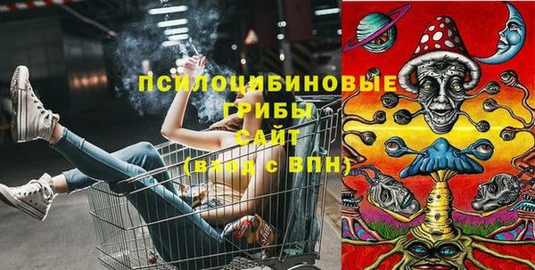 первитин Кинешма