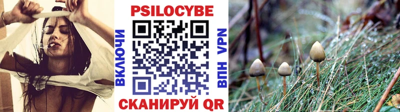 Купить закладки  Верещагино  Галлюциногенные грибы Cubensis 